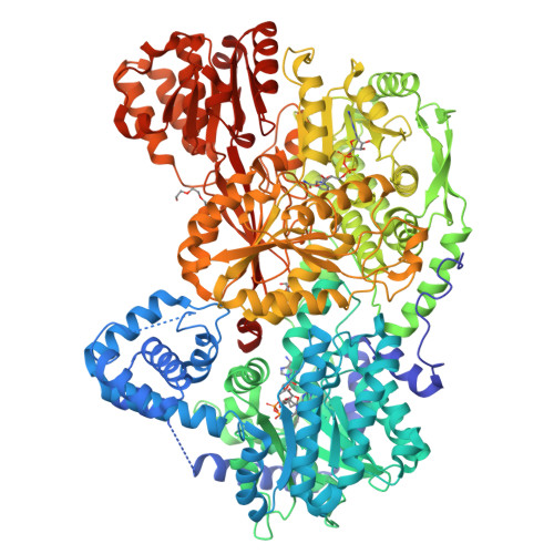 Rcsb Pdb 5kf6 Structure Of Proline Utilization A From Sinorhizobium Meliloti Complexed With L Tetrahydrofuroic Acid And Nad In Space Group P21