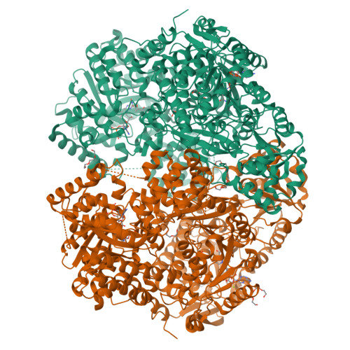 Rcsb Pdb 5kf6 Structure Of Proline Utilization A From Sinorhizobium Meliloti Complexed With L Tetrahydrofuroic Acid And Nad In Space Group P21