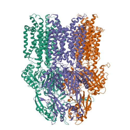 Rcsb Pdb 7kf5 Cryo Electron Microscopy Structure Of The Heavy Metal Efflux Pump Cusa In The Symmetric Closed State