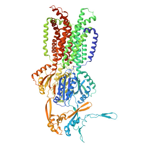 Rcsb Pdb 7kf5 Cryo Electron Microscopy Structure Of The Heavy Metal Efflux Pump Cusa In The Symmetric Closed State