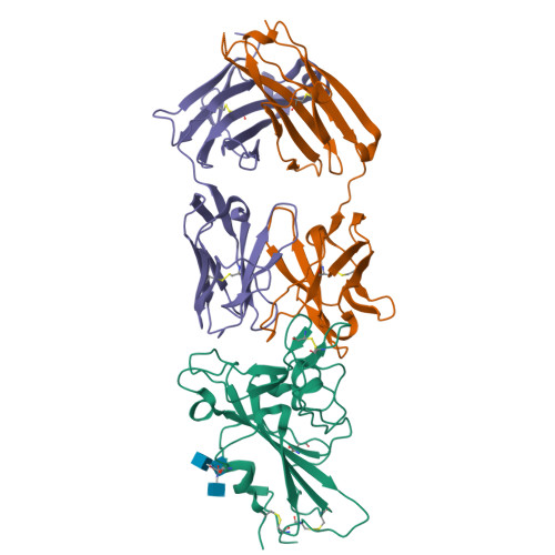 Rcsb Pdb 7kfw Structural Basis For A Germline Biased Antibody Response To Sars Cov 2 Rbd C1a B3 Fab