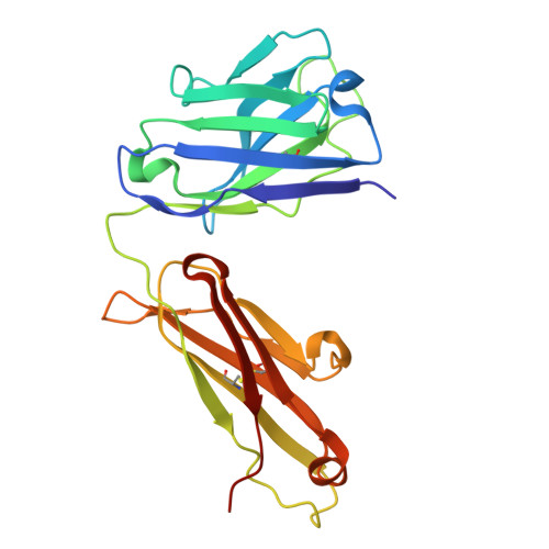 Rcsb Pdb 7kfw Structural Basis For A Germline Biased Antibody Response To Sars Cov 2 Rbd C1a B3 Fab