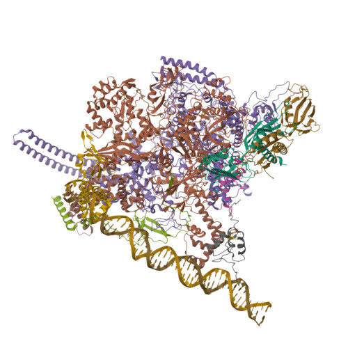 Rcsb Pdb 7kim Mycobacterium Tuberculosis Wt Rnap Transcription Closed Promoter Complex With Whib7 Transcription Factor