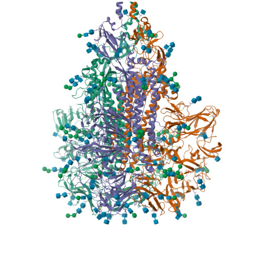 Rcsb Pdb 7kip A 3 4 Angstrom Cryo Em Structure Of The Human Coronavirus Spike Trimer Computationally Derived From Vitrified Nl63 Virus Particles