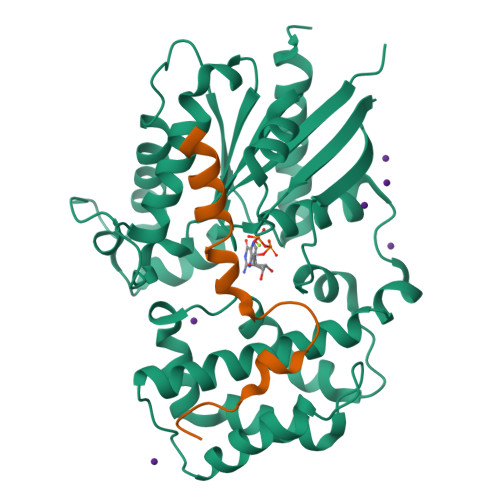 Rcsb Pdb 1kjy Crystal Structure Of Human G Alpha I1 Bound To The Goloco Motif Of Rgs14