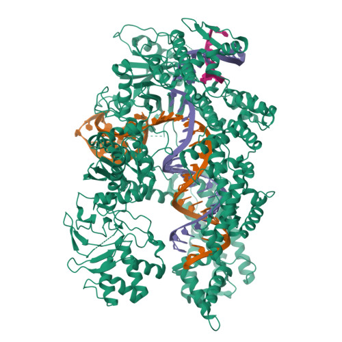 5kk5 Ascpf1 E993a Crrna Dna Ternary Complex Rcsb Pdb