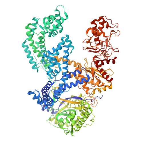 Rcsb Pdb 5kk5 Ascpf1 E993a Crrna Dna Ternary Complex