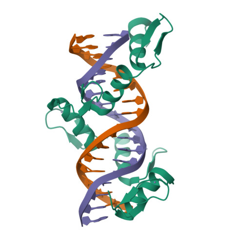 Rcsb Pdb 5kkq Homo Sapiens Ccctc Binding Factor Ctcf Znf3 7 And Dna Complex Structure