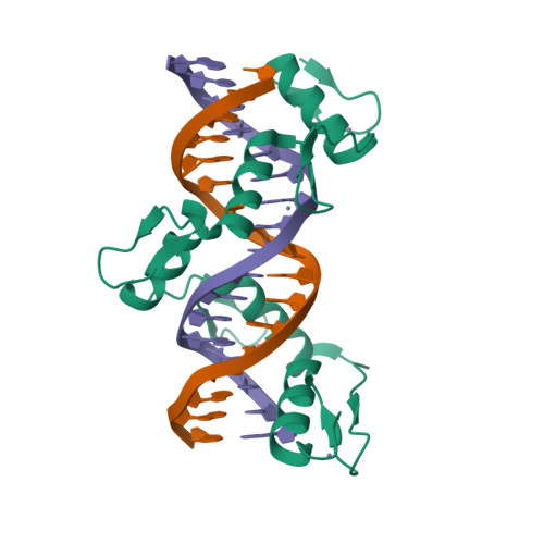 Rcsb Pdb 5kkq Homo Sapiens Ccctc Binding Factor Ctcf Znf3 7 And Dna Complex Structure