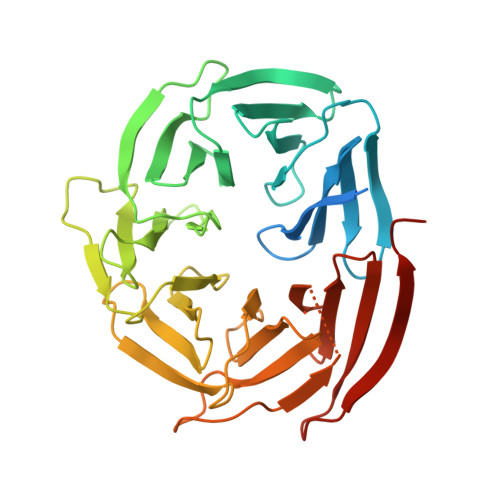 Rcsb Pdb 6klr Crystal Structure Of Human Wipi3 In Complex With The Wir Peptide From Atg2a