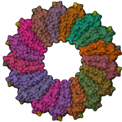 Rcsb Pdb 3kml Circular Permutant Of The Tobacco Mosaic Virus