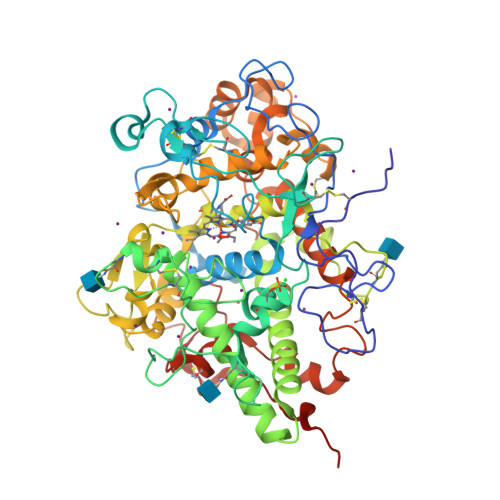 Rcsb Pdb 6kmk Crystal Structure Of Hydrogen Peroxide Bound Bovine Lactoperoxidase At 2 3 A Resolution