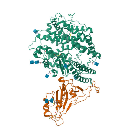 Rcsb Pdb 7kmb Ace2 Rbd Focused Refinement Using Symmetry Expansion Of Applied C3 For Triple Ace2 Bound Sars Cov 2 Trimer Spike At Ph 7 4