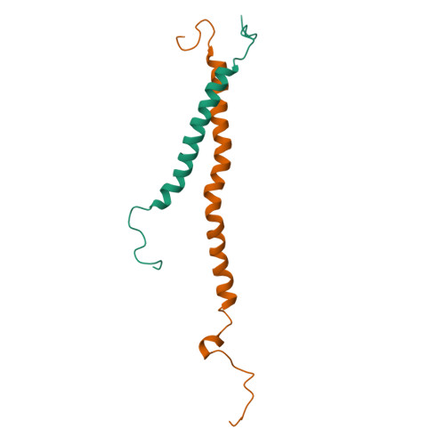 Rcsb Pdb 2knc Platelet Integrin Alfaiib Beta3 Transmembrane Cytoplasmic Heterocomplex