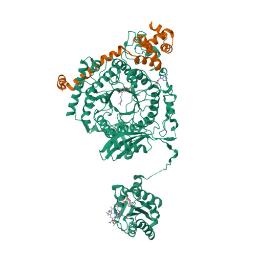Rcsb Pdb 3koz Crystal Structure Of Ornithine 4 5 Aminomutase In Complex With Ornithine Anaerobic