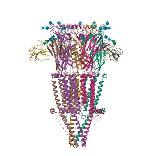 Rcsb Pdb 7koo Alpha 7 Nicotinic Acetylcholine Receptor Bound To Alpha Bungarotoxin In A Resting State