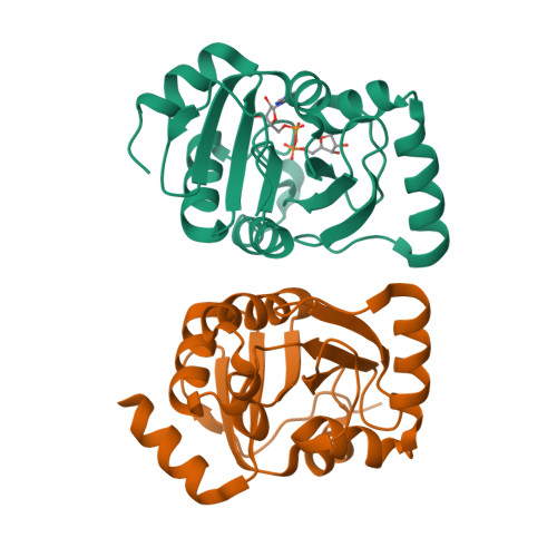 Rcsb Pdb 7kqp Crystal Structure Of Sars Cov 2 Nsp3 Macrodomain In Complex With Adp Ribose P43 Crystal Form