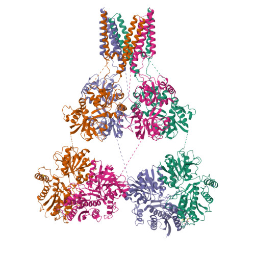 Rcsb Pdb 7ks0 Gluk2 K5 With 6 Cyano 7 Nitroquinoxaline 2 3 Dione Cnqx