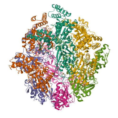 Rcsb Pdb 7ksm Human Mitochondrial Lonp1 With Endogenous Substrate