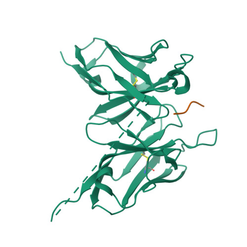Rcsb Pdb 1ktr Crystal Structure Of The Anti His Tag Antibody 3d5 Single Chain Fragment Scfv In Complex With A Oligohistidine Peptide<script async src=