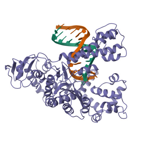 Rcsb Pdb 4ktq Binary Complex Of The Large Fragment Of Dna Polymerase I From T Aquaticus Bound To A Primer Template Dna