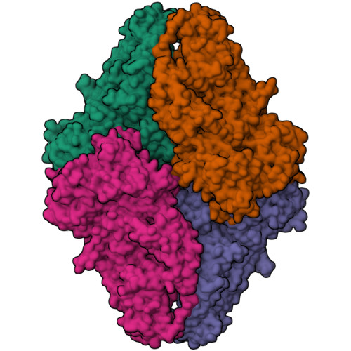 Rcsb Pdb 6kuz E Coli Beta Galactosidase E537q In Complex With Fluorescent Probe Ksl01