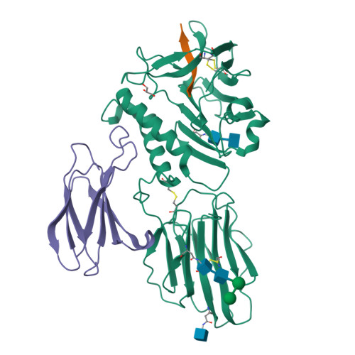 Rcsb Pdb 5kvm Extracellular Region Of Mouse Gpr56 Adgrg1 In Complex With Fn3 Monobody