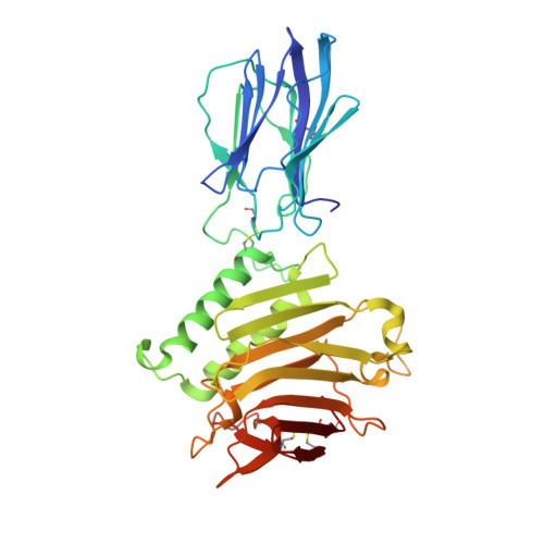 Rcsb Pdb 5kvm Extracellular Region Of Mouse Gpr56 Adgrg1 In Complex With Fn3 Monobody