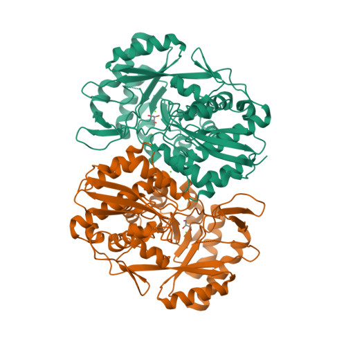 Rcsb Pdb 4kws Crystal Structure Of D Mannonate Dehydratase From Chromohalobacter Salexigens Complexed With Mg And Glycerol