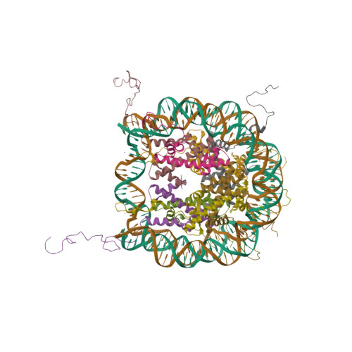 Rcsb Pdb 1kx5 X Ray Structure Of The Nucleosome Core Particle Ncp147 At 1 9 A Resolution