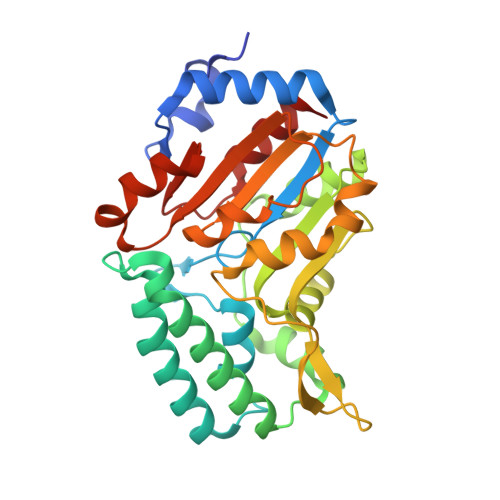 RCSB PDB - 4KX3: Structure of murine cytosolic 5'-nucleotidase III 
