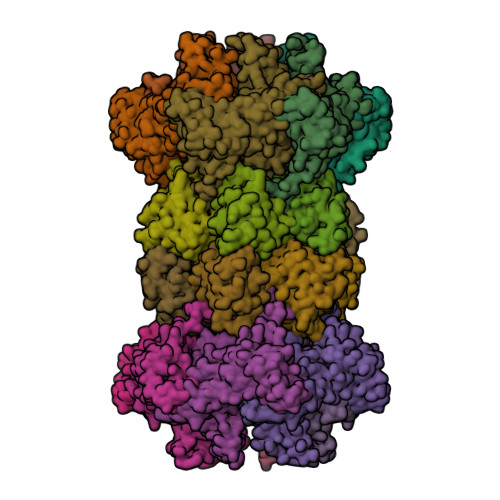 Rcsb Pdb 1kyi Hsluv H Influenzae Nlvs Vinyl Sulfone Inhibitor Complex