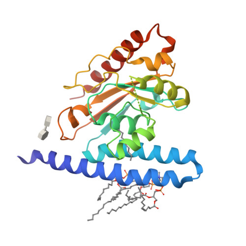 Rcsb Pdb 5kym Crystal Structure Of The 1 Acyl Sn Glycerophosphate Lpa Acyltransferase Plsc From Thermotoga Maritima