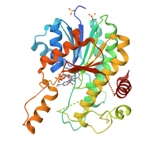 Rcsb Pdb 6l1g Crystal Structure Of Light Dependent Protochlorophyllide Oxidoreductase From Synechocystis Sp Pcc 6803