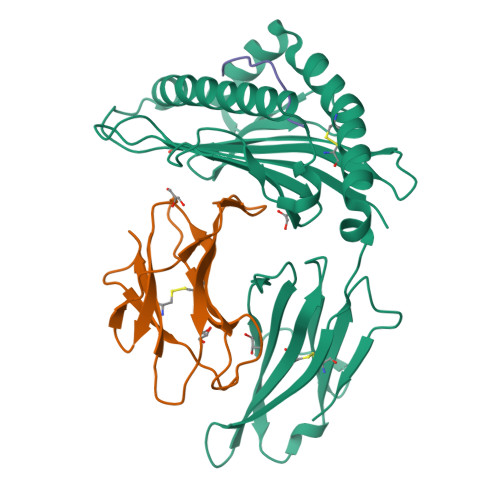 Rcsb Pdb L C Crystal Structure Of Hla A In Complex With A Mutant Pik Ca Peptide