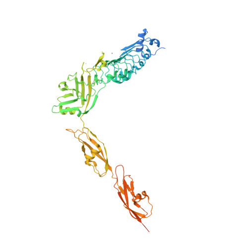 Amazing internalin Rcsb Pdb 4l3a Crystal Structure Of Internalin K Inlk From Listeria Monocytogenes