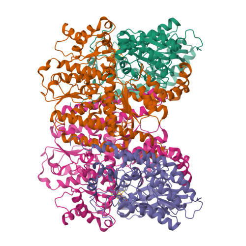 Rcsb Pdb 1l5h Femo Cofactor Deficient Nitrogenase Mofe Protein