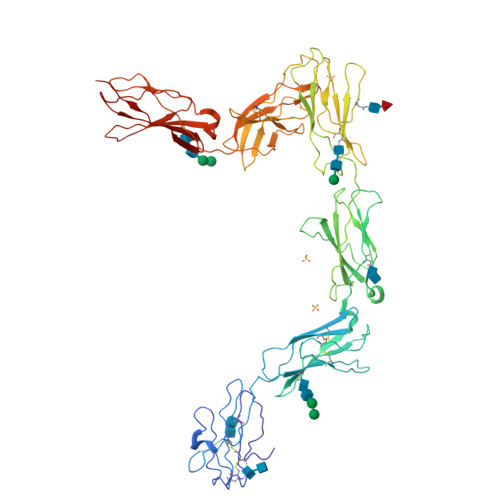 Rcsb Pdb 3l5h Crystal Structure Of The Full Ectodomain Of Human Gp130 New Insights Into The Molecular Assembly Of Receptor Complexes