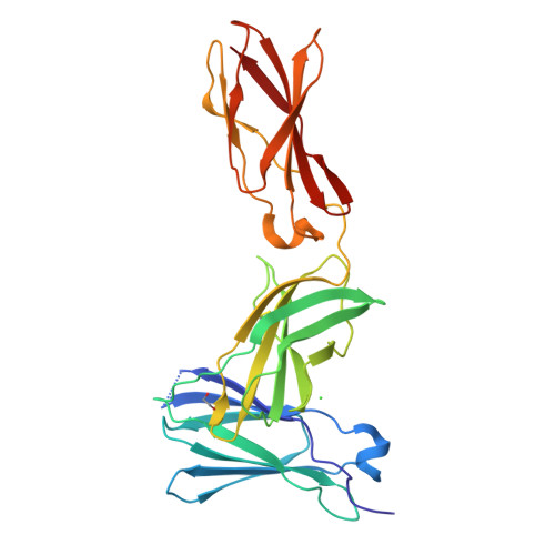 Rcsb Pdb 3l5j Crystal Structure Of Fniii Domains Of Human Gp130 Domains 4 6