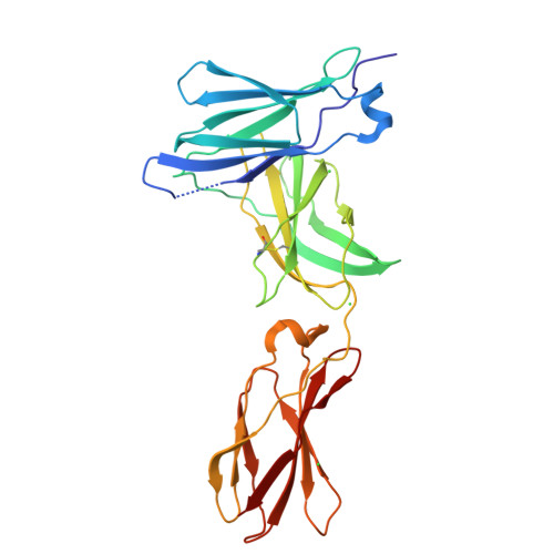 Rcsb Pdb 3l5j Crystal Structure Of Fniii Domains Of Human Gp130 Domains 4 6