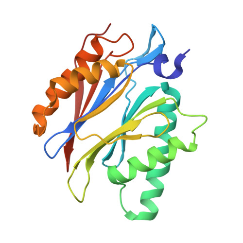 Rcsb Pdb 5l5q Yeast 20s Proteasome With Human Beta5i 1 138 And Human Beta6 97 111 118 133 In Complex With Epoxyketone 18