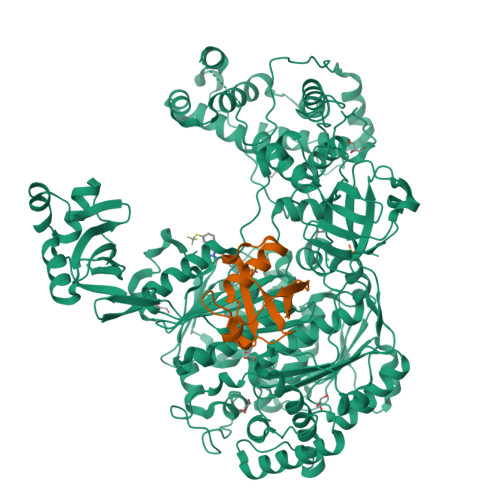 Rcsb Pdb 5l6j Uba1 In Complex With Ub Mln7243 Covalent Adduct