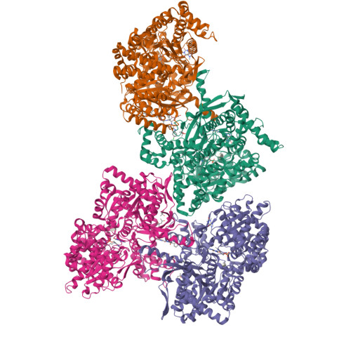 Rcsb Pdb 1l7x Human Liver Glycogen Phosphorylase B Complexed With Caffeine N Acetyl Beta D Glucopyranosylamine And Cp 403 700