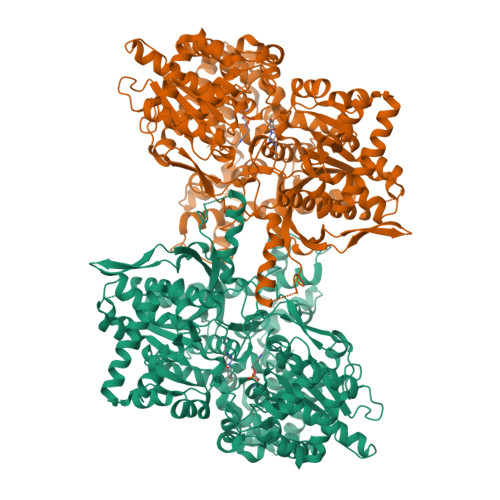 Rcsb Pdb 3l7d Crystal Structure Of Glycogen Phosphorylase Dk5 Complex