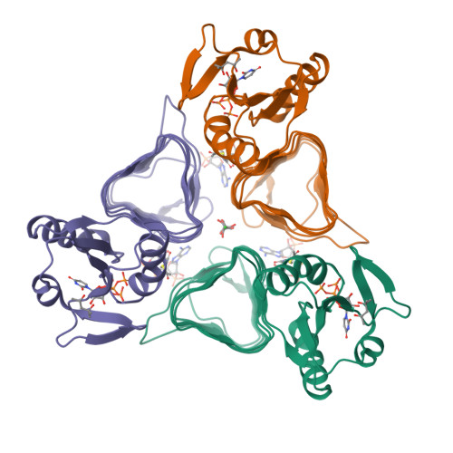 Rcsb Pdb 7l7y X Ray Structure Of The N Acetyltransferase Pcryo 0637 From Psychrobacter Cryohalolentis In The Presence Of Udp And Acetyl Conezyme A