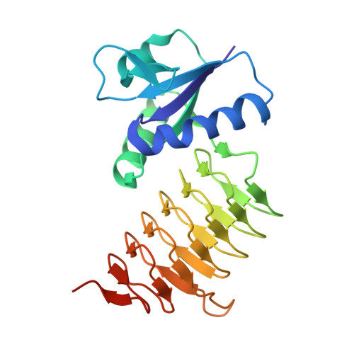 Rcsb Pdb 7l7y X Ray Structure Of The N Acetyltransferase Pcryo 0637 From Psychrobacter Cryohalolentis In The Presence Of Udp And Acetyl Conezyme A