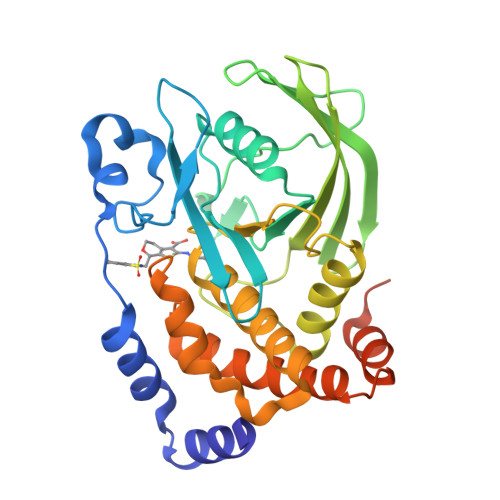 1l8g Crystal Structure Of Ptp1b Complexed With 7 1 1 Dioxo 1h Benzo D Isothiazol 3 Yloxymethyl 2 Oxalyl Amino 4 7 Dihydro 5h Thieno 2 3 C Pyran 3 Carboxylic Acid Rcsb Pdb