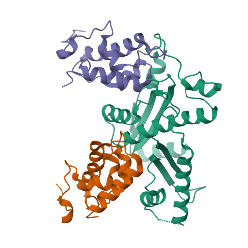 Rcsb Pdb 6l9j Structure Of Yeast Snf5 And Swi3 Subcomplex