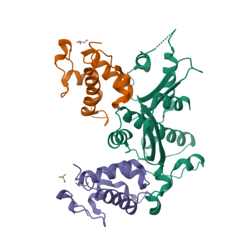 Rcsb Pdb 6l9j Structure Of Yeast Snf5 And Swi3 Subcomplex