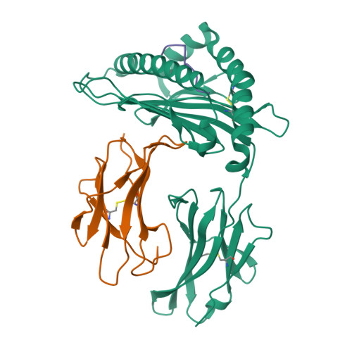 Rcsb Pdb 6l9m H2 Ld Complexed With Ah1 Peptide